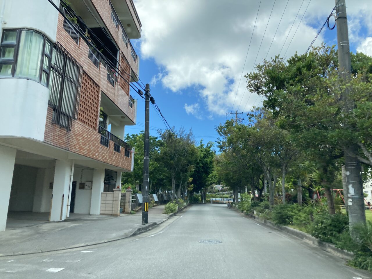 わかさ