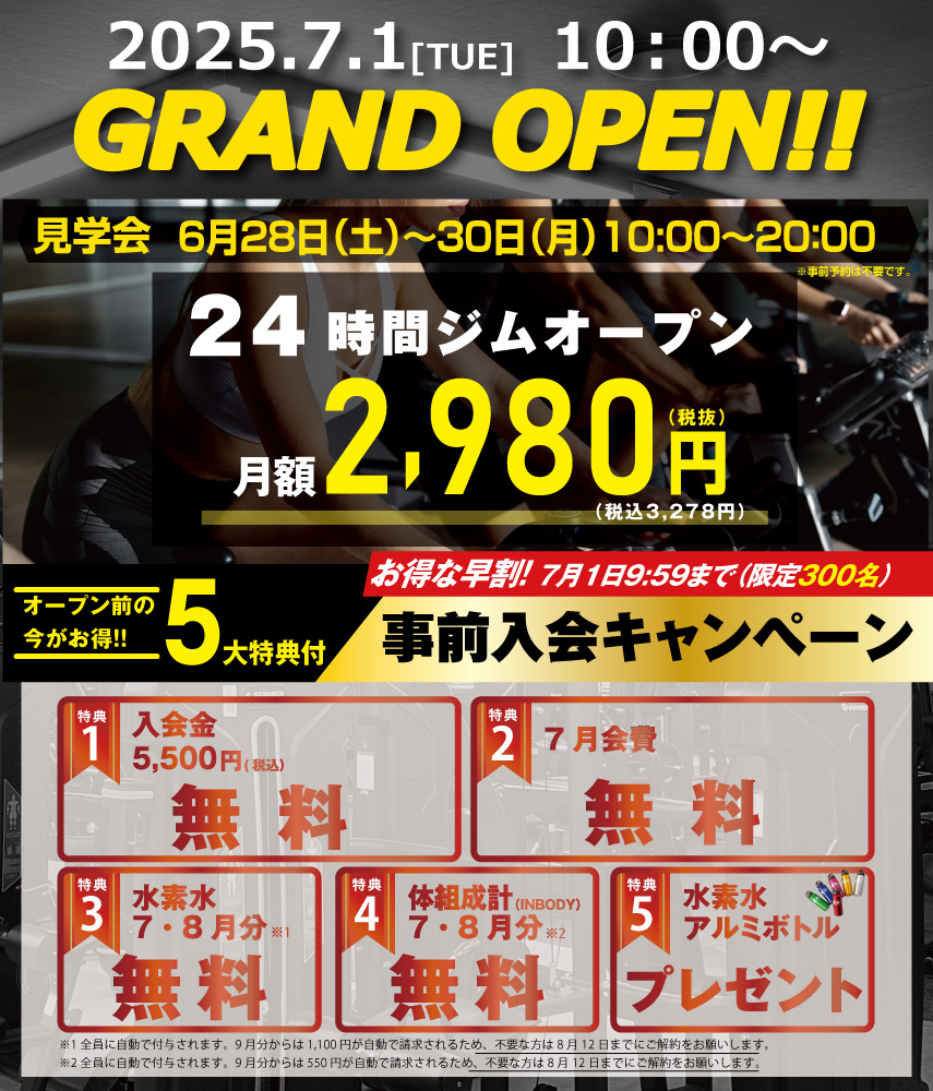 エコフィット