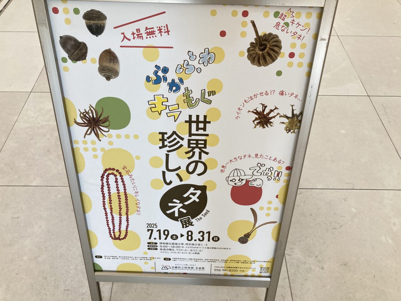 タネ