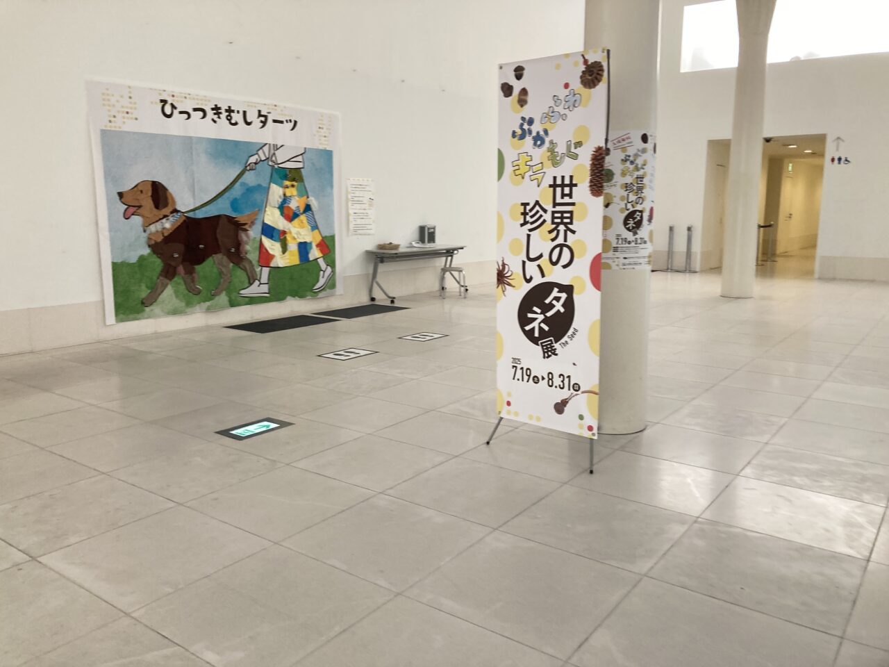タネ