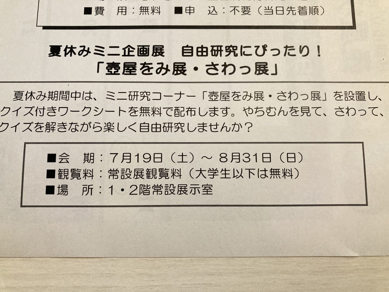 焼物夏休み企画