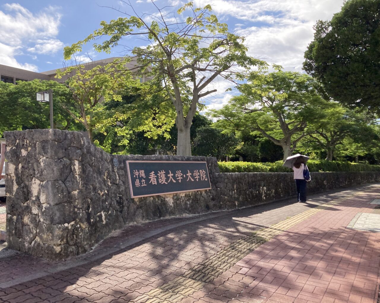 看護大