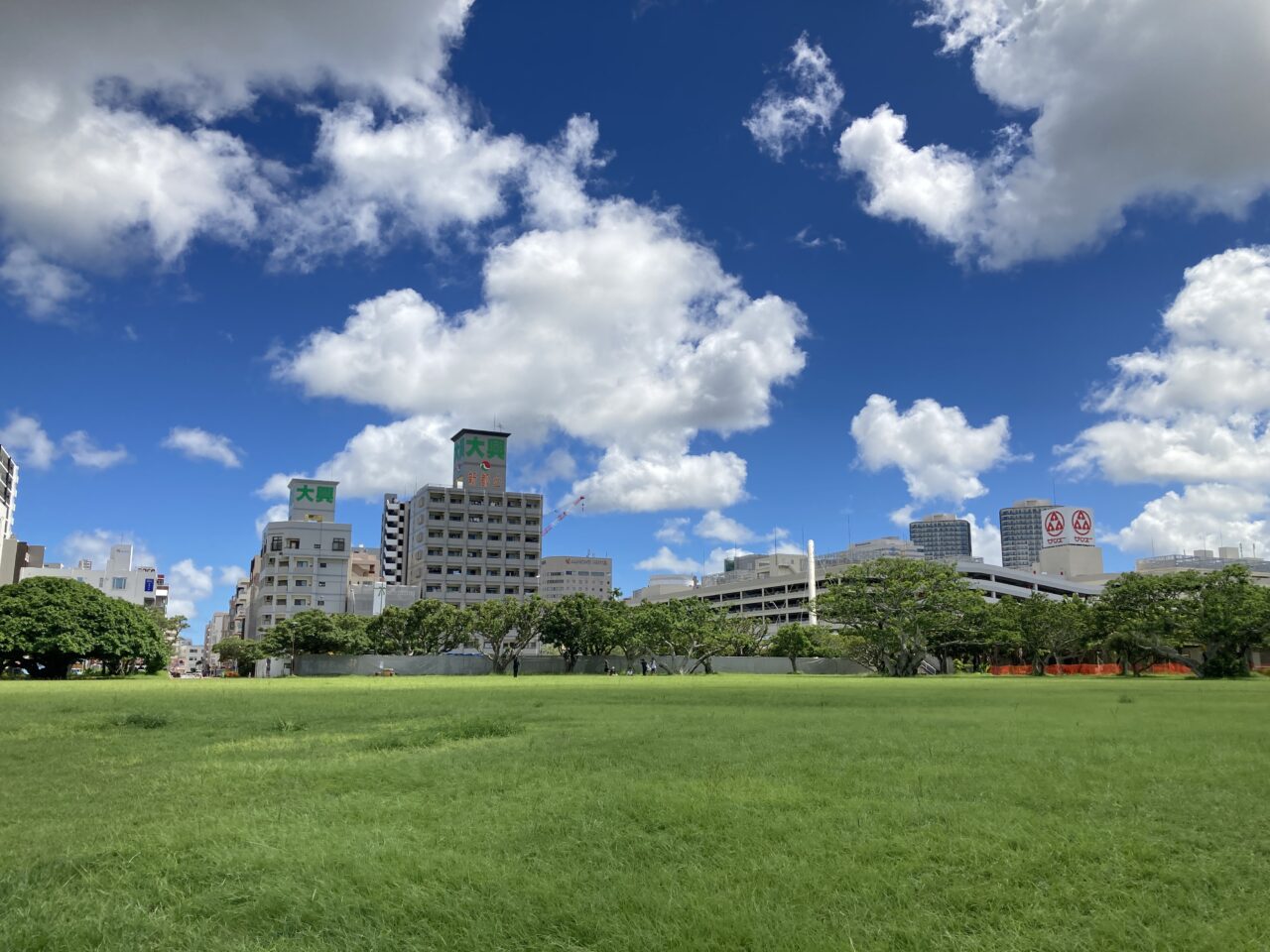 新都心公園